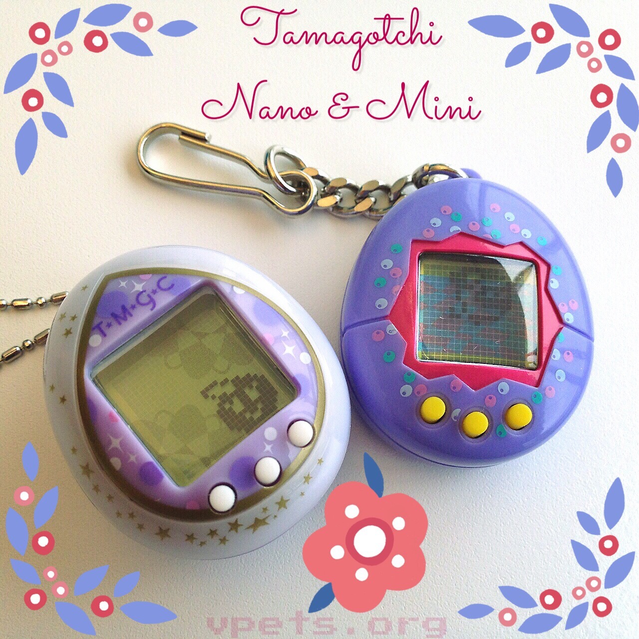 Nano and Mini Run